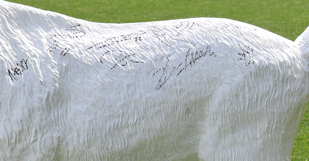 Gipsgeißbock Köln   Gipsgeißbock Köln