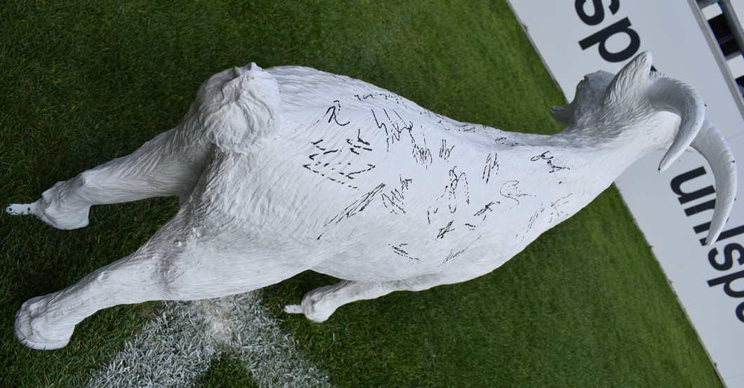 Gipsgeißbock Köln   Gipsgeißbock Köln