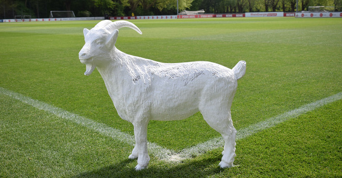  Gipsgeißbock Köln 