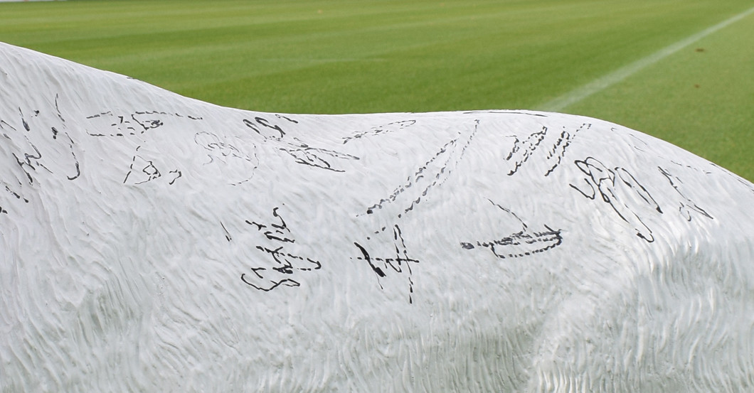 Gipsgeißbock   Gipsgeißbock