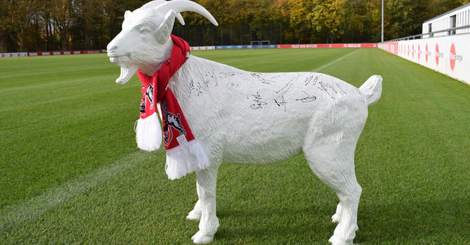 Gipsgeißbock   Gipsgeißbock