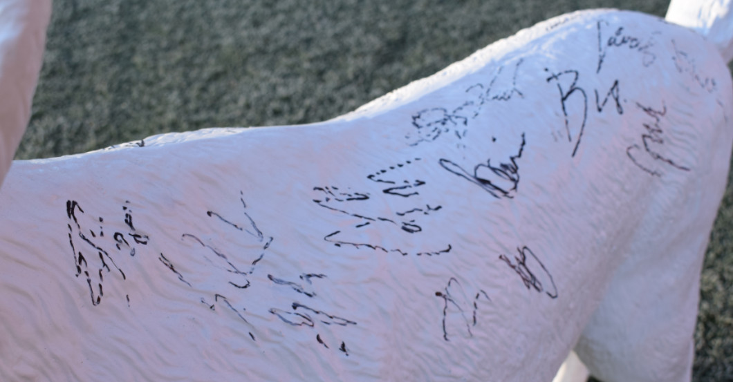 Gipshennes   Gipshennes