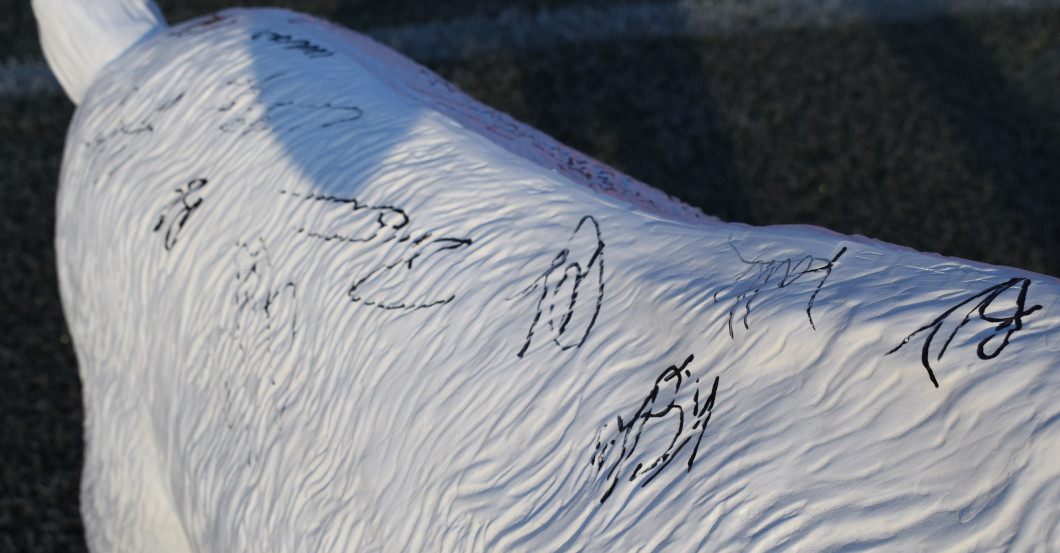 Gipshennes   Gipshennes