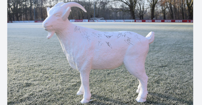 Gipshennes   Gipshennes