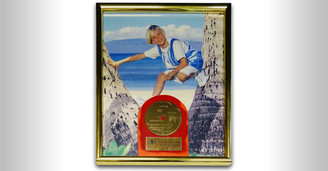 Gold Award Aaron Carter   Gold Award Aaron Carter