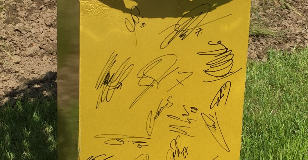 Goldener Ball signiert   Goldener Ball signiert