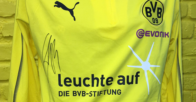 Guerreiro Aufwärmshirt   Guerreiro Aufwärmshirt