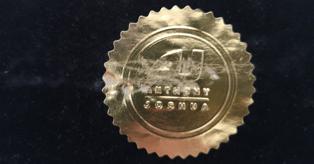  Gürtel Anthony Joshua  