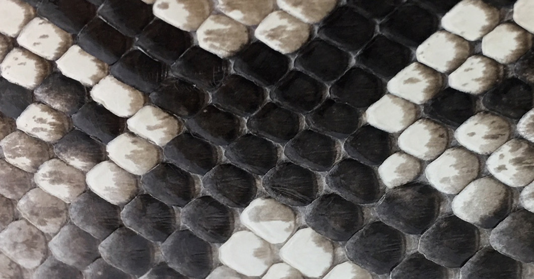 Gürtel aus Show 9   Gürtel aus Show 9