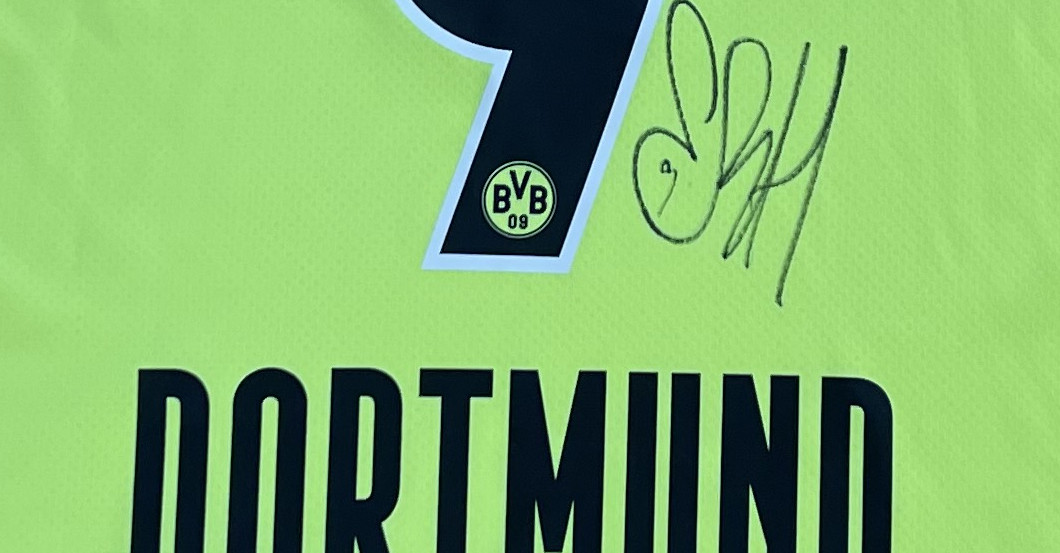 Haaland CL Trikot   Haaland CL Trikot