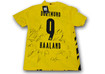  Haaland Trikot signiert 