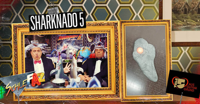 Haifisch Artefakt   Haifisch Artefakt