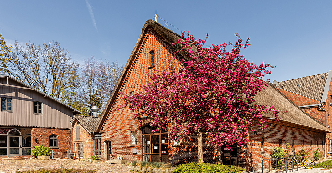 Hakim Meziani treffen   Hakim Meziani treffen