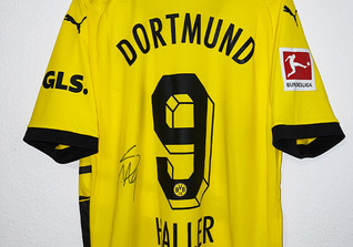  Hallers BVB Trikot 