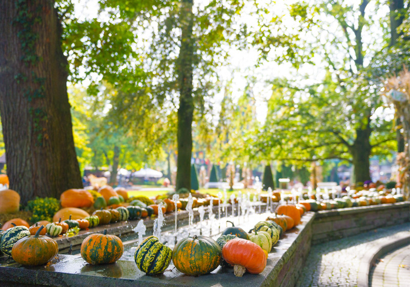 Halloween-Dekonacht   Halloween-Dekonacht