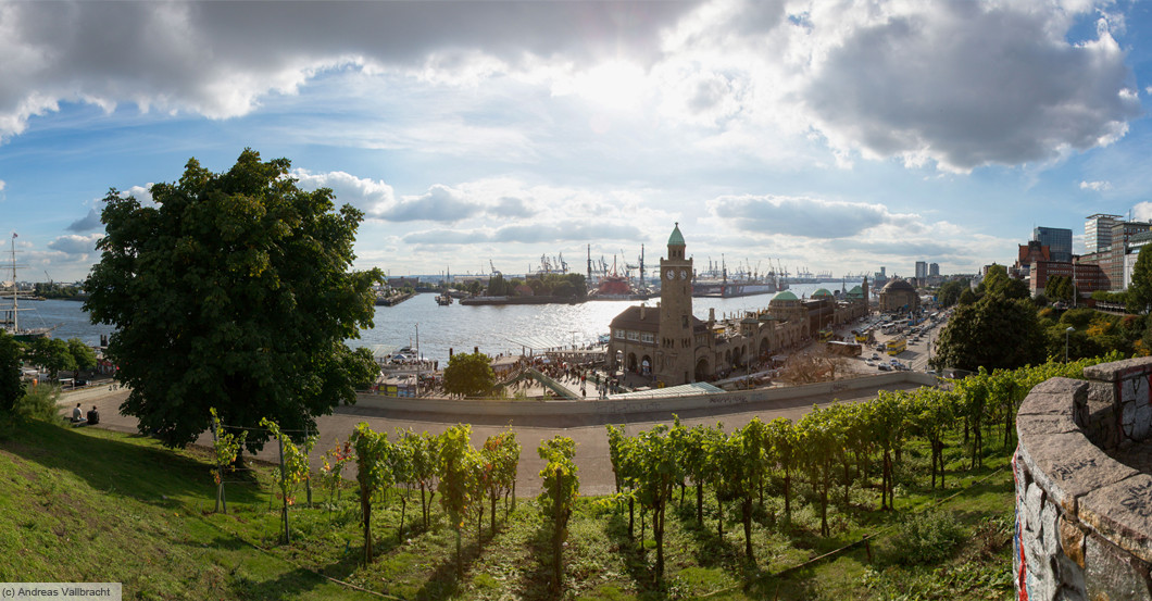 Hamburg Wein II   Hamburg Wein II