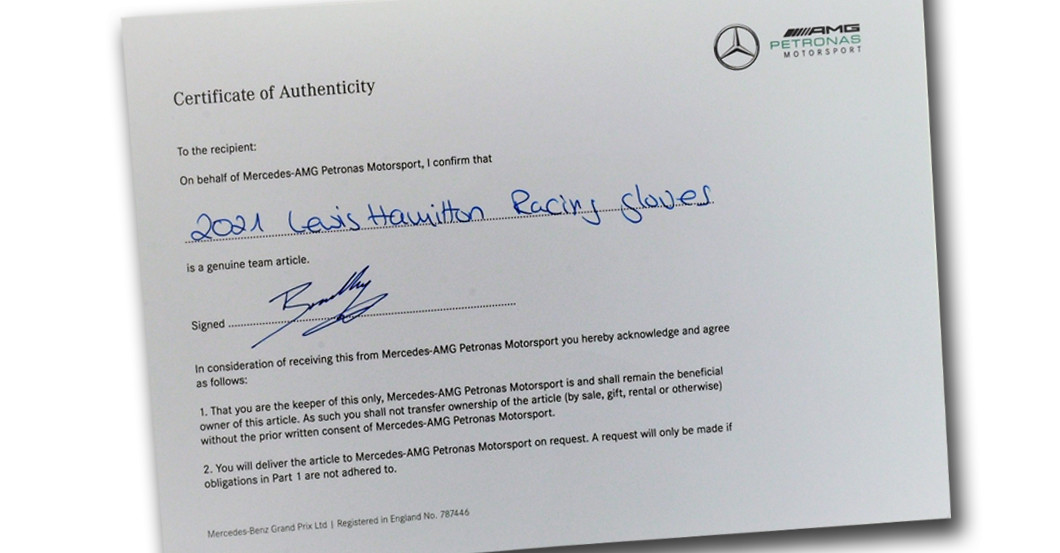 Hamilton Handschuhe   Hamilton Handschuhe