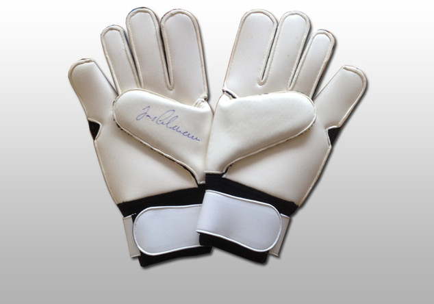 Handschuhe Jens Lehmann   Handschuhe Jens Lehmann