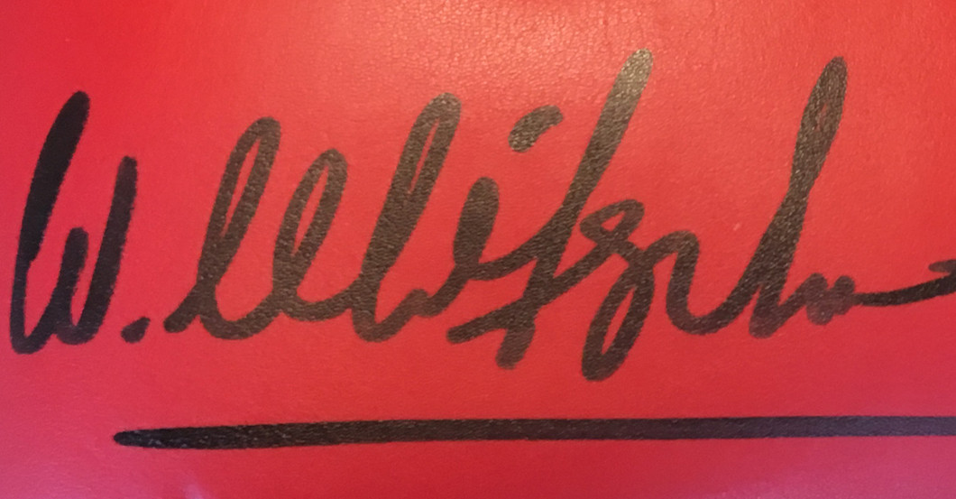  Handschuhe Klitschkos 