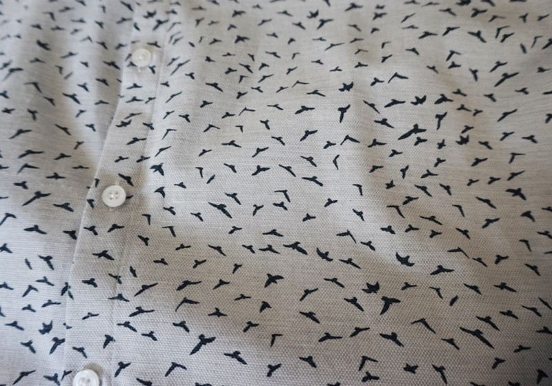 Hartwichs graublaues Hemd   Hartwichs graublaues Hemd