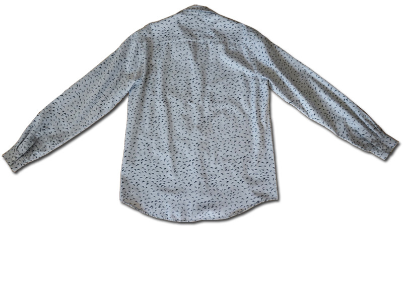 Hartwichs graublaues Hemd   Hartwichs graublaues Hemd