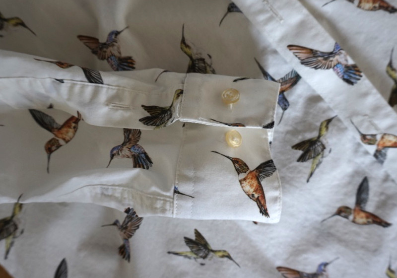 Hartwichs weißes Hemd   Hartwichs weißes Hemd