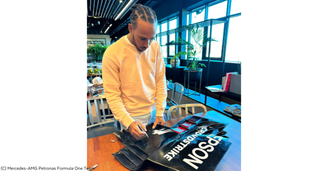 Heckflügel Hamilton    Heckflügel Hamilton