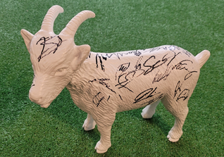  Hennes Geißbock Köln 