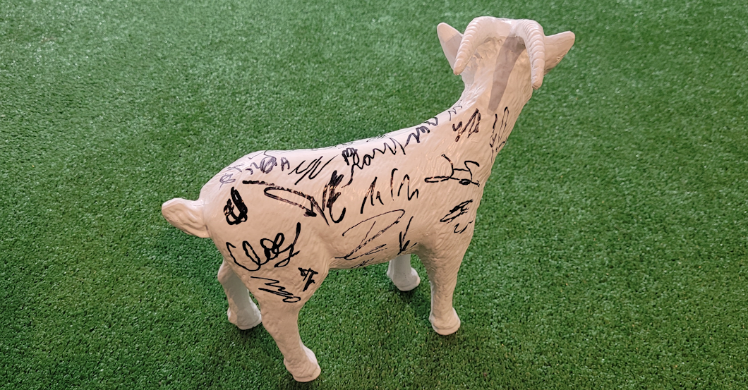 Hennes Geißbock Köln   Hennes Geißbock Köln