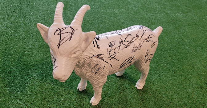  Hennes Geißbock Köln 