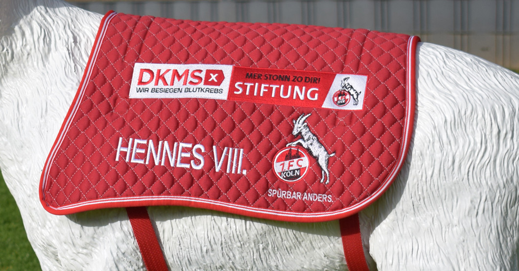 Hennes VIII Decke   Hennes VIII Decke