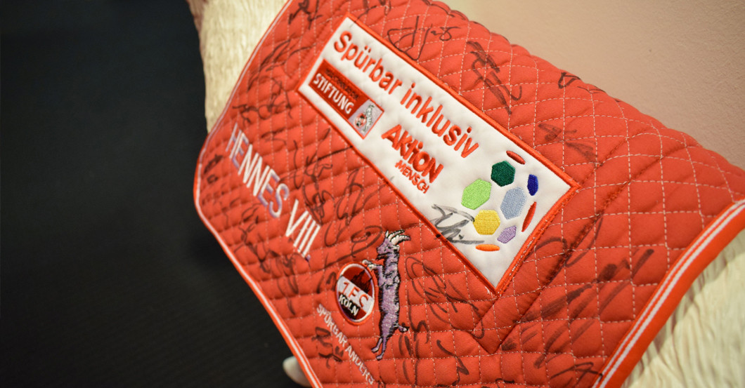 Hennesdecke Aktion Mensch   Hennesdecke Aktion Mensch