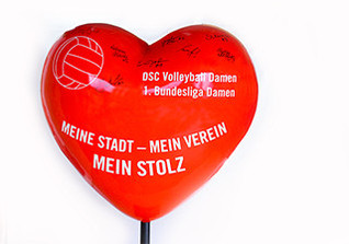  Herz DSC Volleyball  