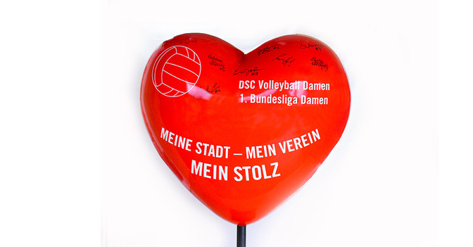  Herz DSC Volleyball  