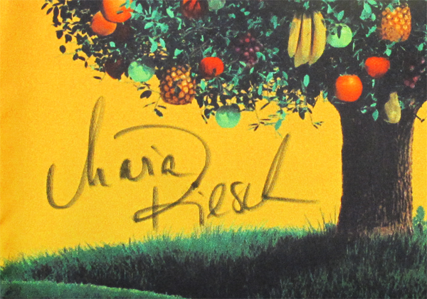  Höfl-Rieschs Startnummer  