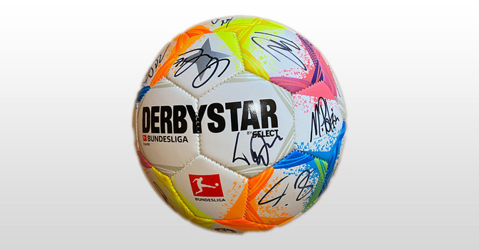 HSV Ball teamsigniert   HSV Ball teamsigniert
