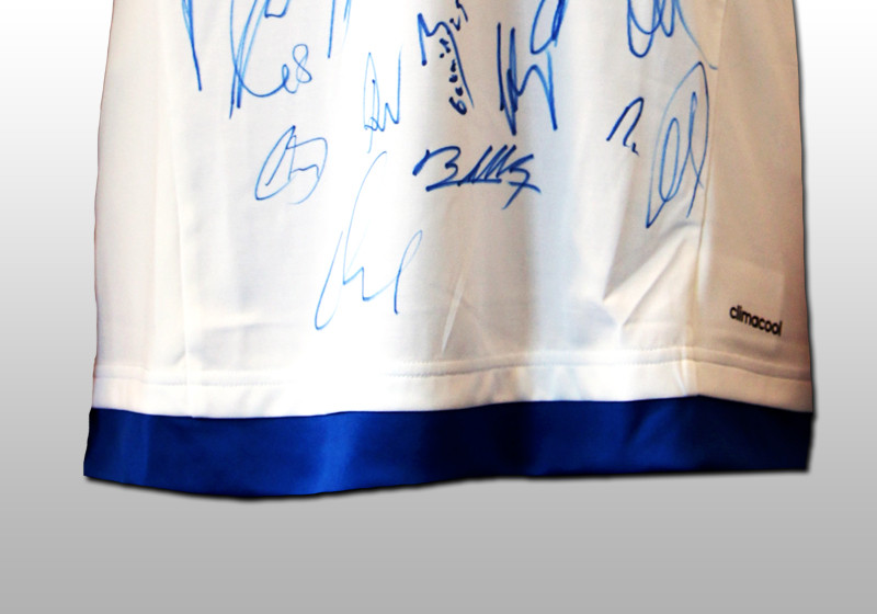  HSV Trikot teamsigniert 