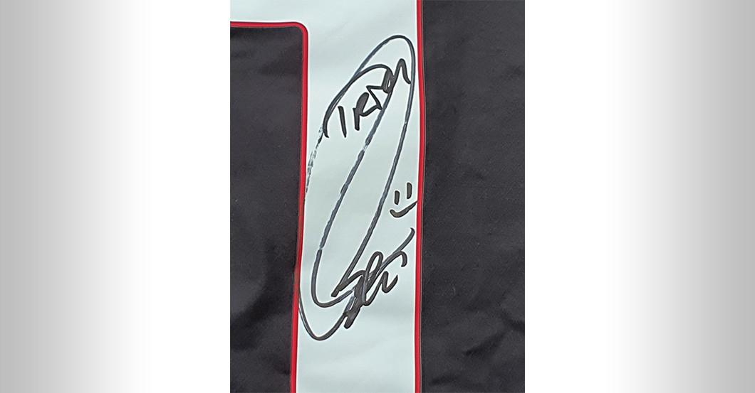 Ibrahimovic Trikot   Ibrahimovic Trikot