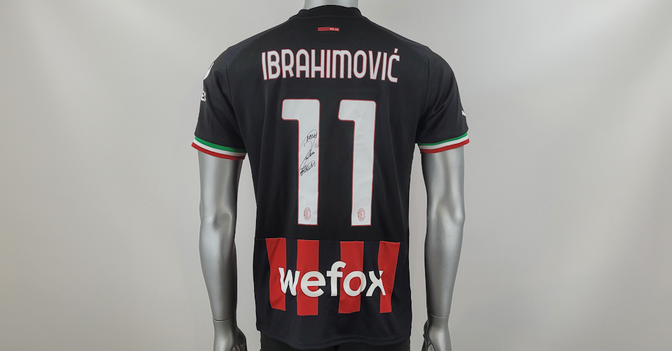  Ibrahimovics Trikot 