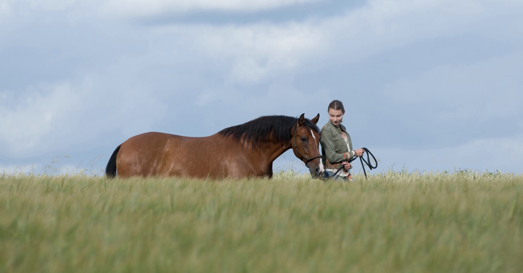 Immenhof Weltpremiere   Immenhof Weltpremiere
