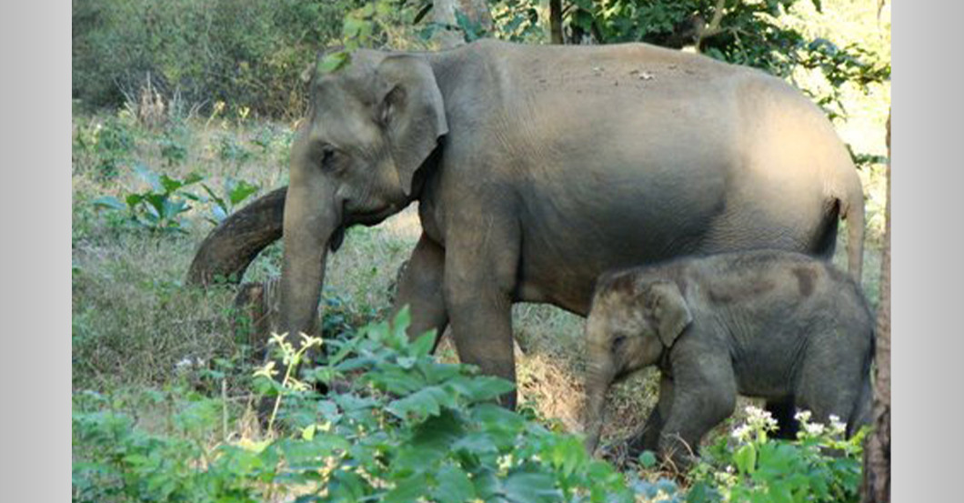 Indien Urlaub   Indien Urlaub