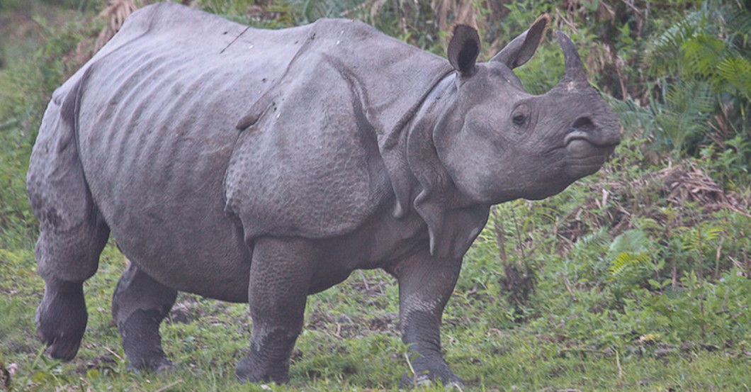 Indien Urlaub   Indien Urlaub