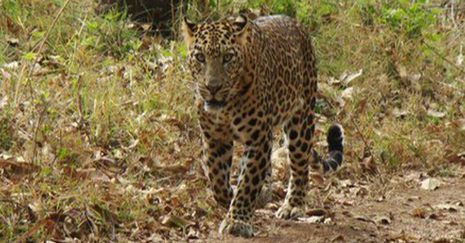 Indien Urlaub   Indien Urlaub