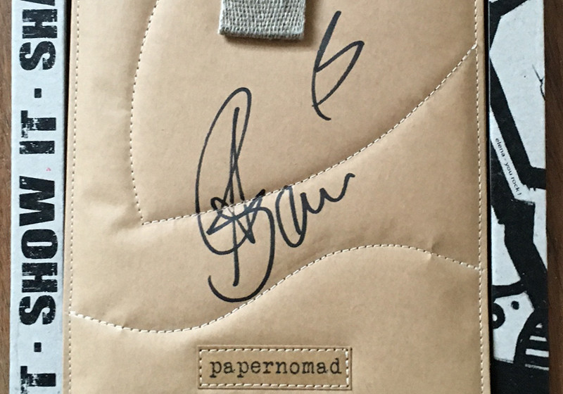 iPad mini Hülle Bourani   iPad mini Hülle Bourani