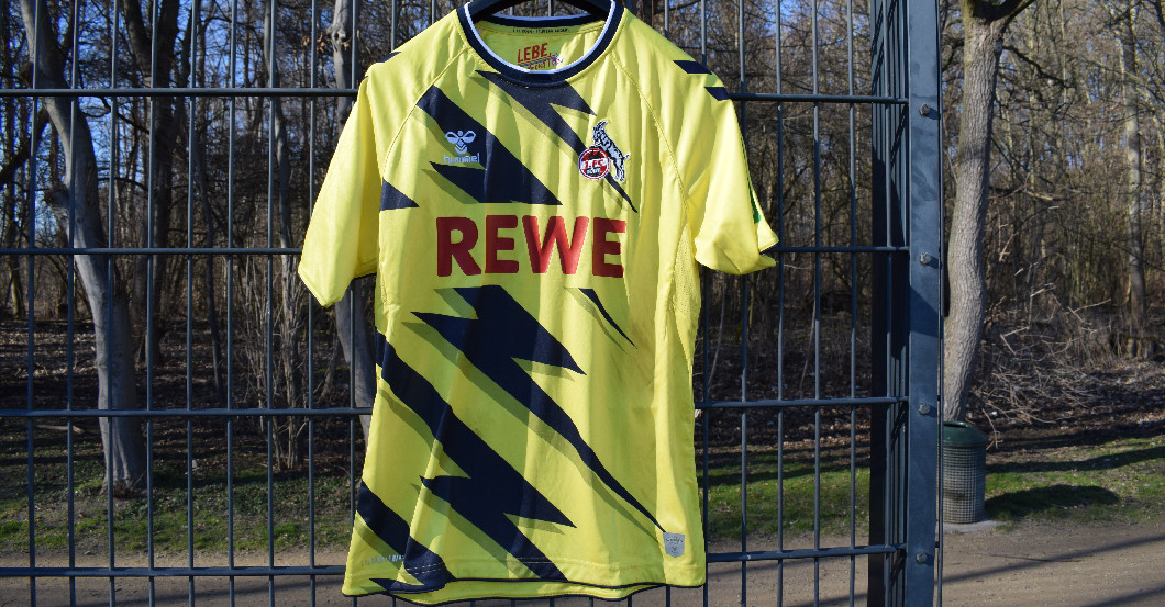 Jubiläumstrikot Schwäbe   Jubiläumstrikot Schwäbe