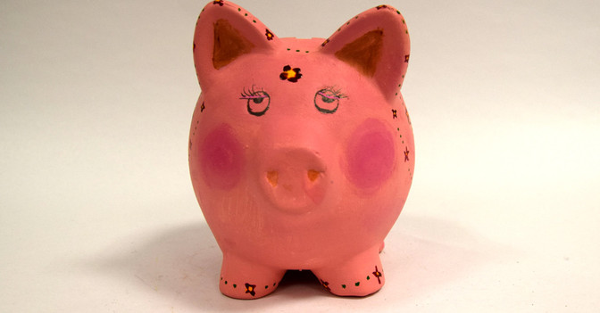 Jung Schwein   Jung Schwein