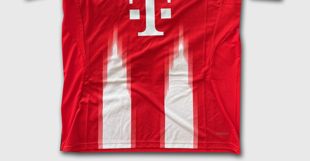  Kane Trikot signiert 