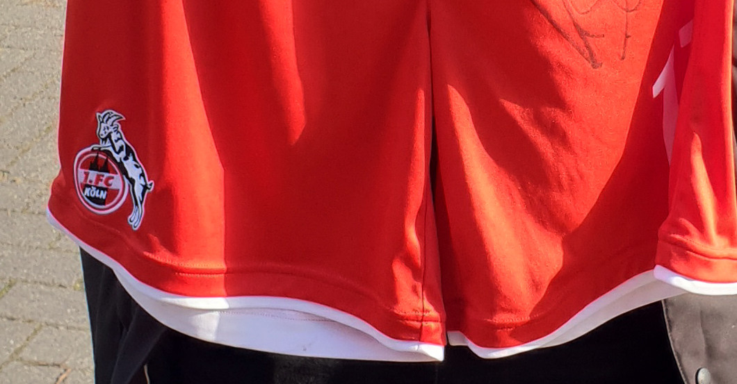 Kingsley Schindler Shorts   Kingsley Schindler Shorts