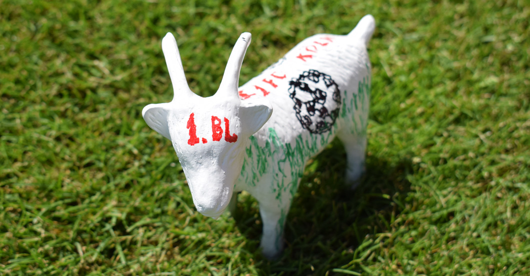 Kleiner Geißbock Köln   Kleiner Geißbock Köln