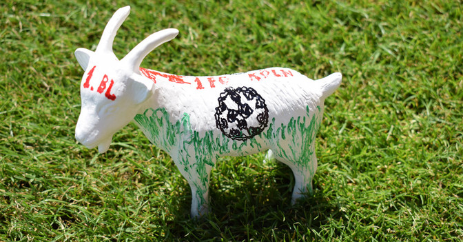  Kleiner Geißbock Köln 